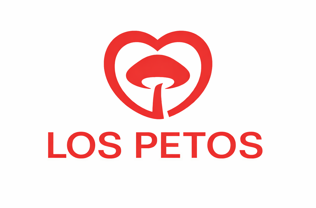 Los Petos se “sube al carro” del autoconsumo solar