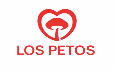 Los Petos se “sube al carro” del autoconsumo solar